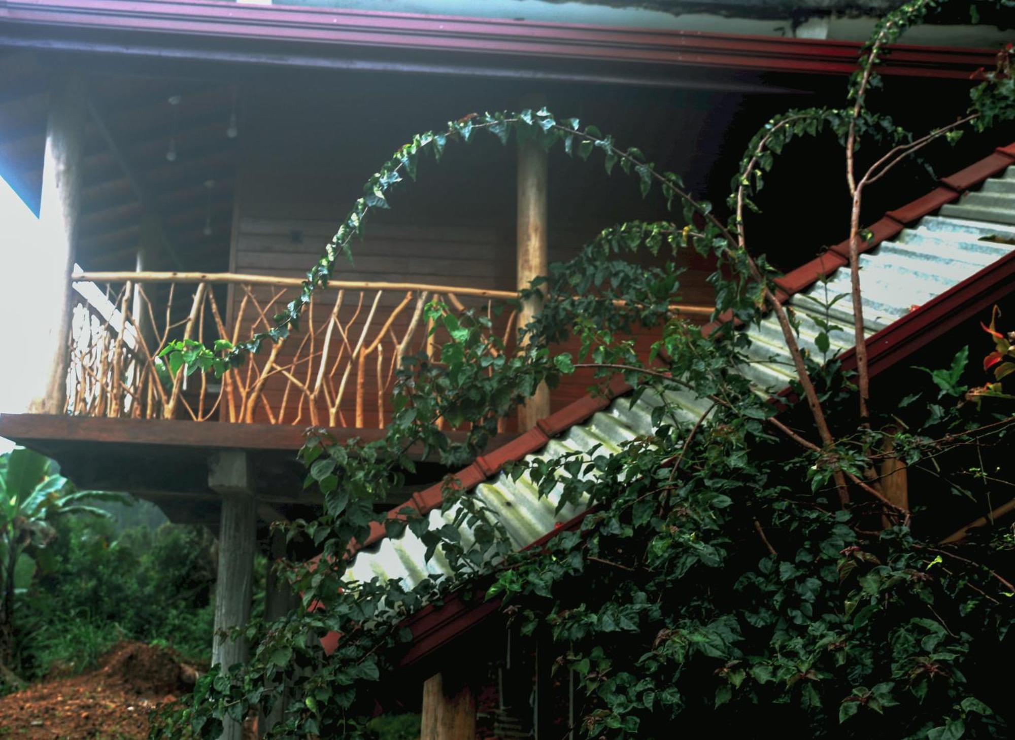 The Dream Inn Ella Exterior foto